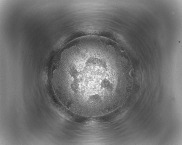 X0000066090259200603101213