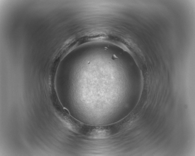 X0000066090260200603101213