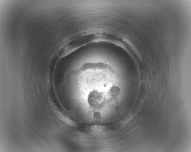 X0000066090261200603101213