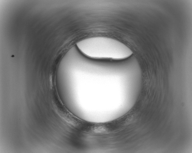 X0000066090262200603101213