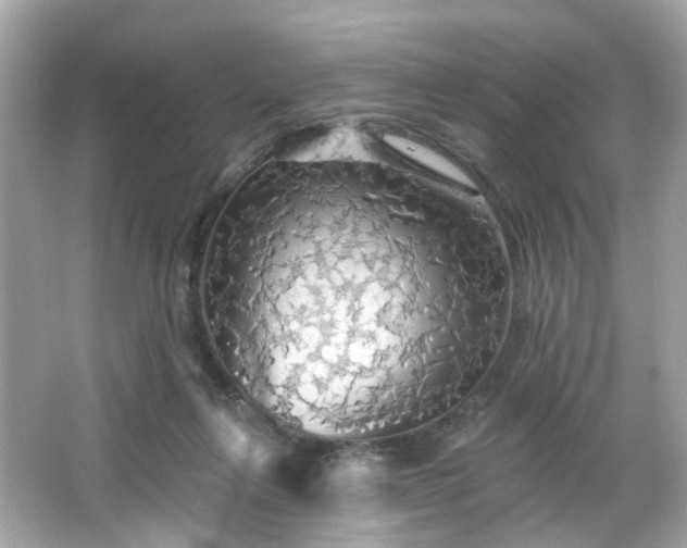 X0000066090263200603101213