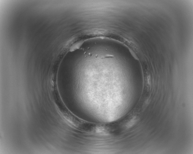 X0000066090264200603101214