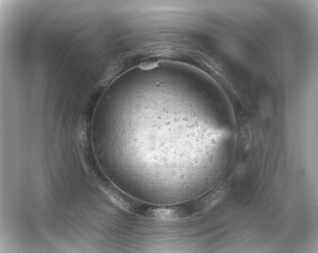 X0000066090265200603101214