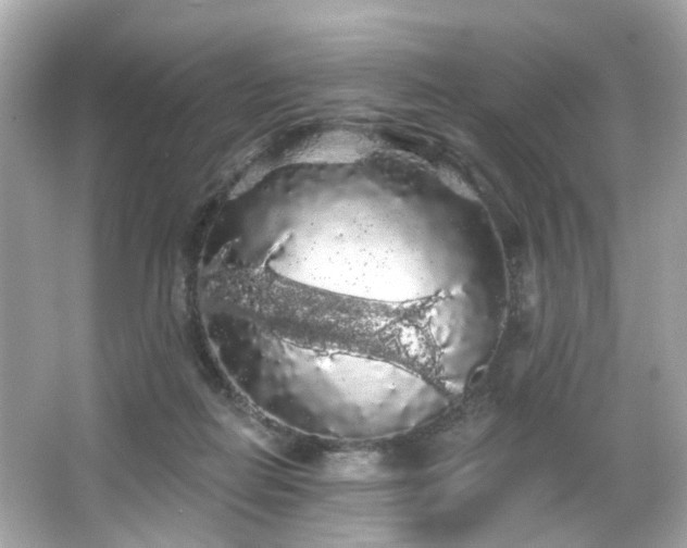 X0000066090266200603101214