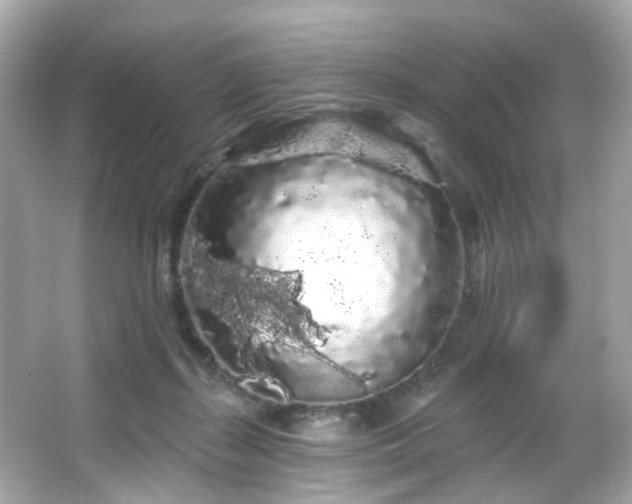 X0000066090267200603101214