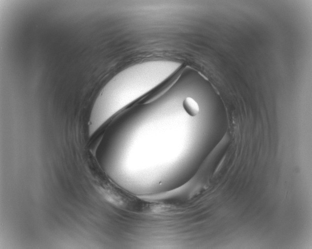 X0000066090268200603101214