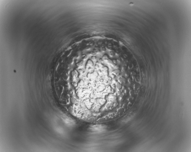 X0000066090269200603101214