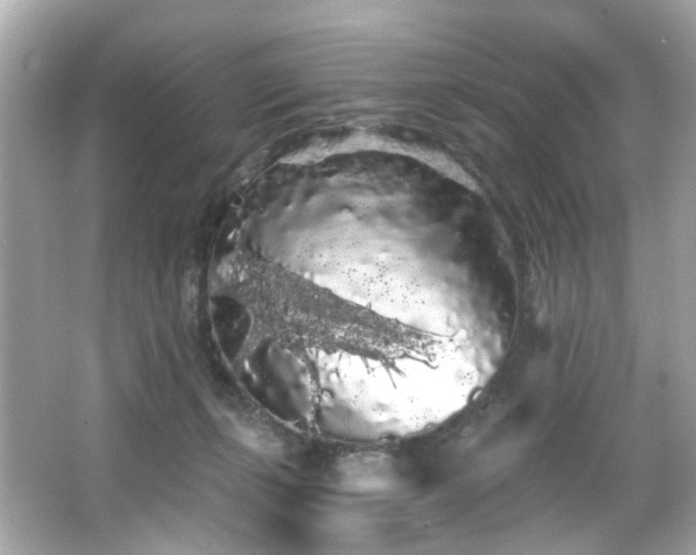 X0000066090271200603101214