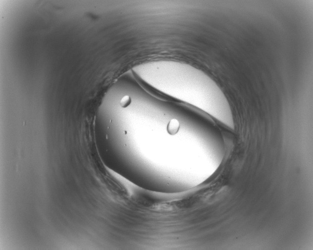 X0000066090272200603101214