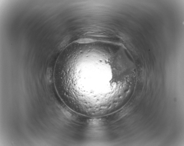 X0000066090273200603101214