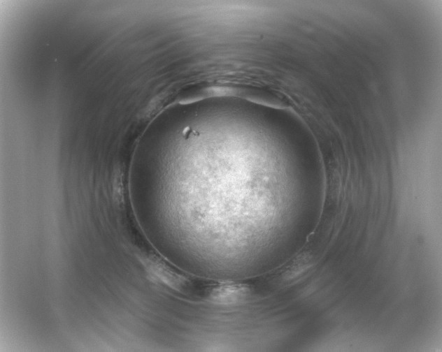 X0000066090274200603101214