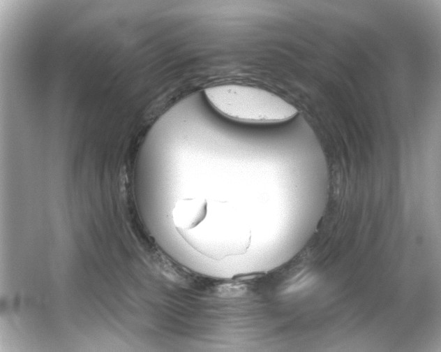 X0000066090279200603101214