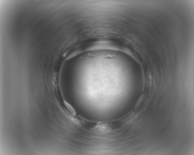 X0000066090280200603101214