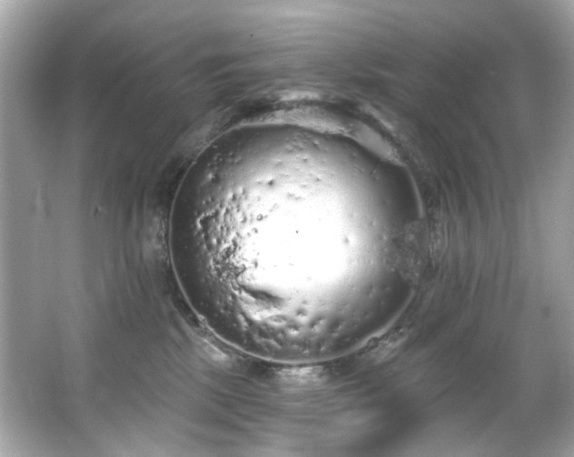 X0000066090281200603101214