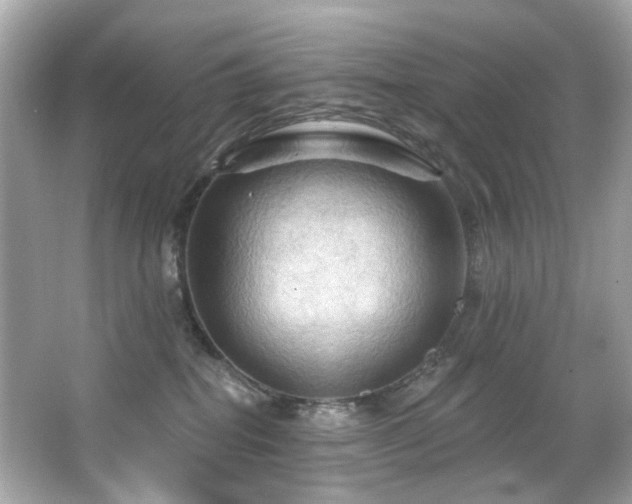 X0000066090282200603101214