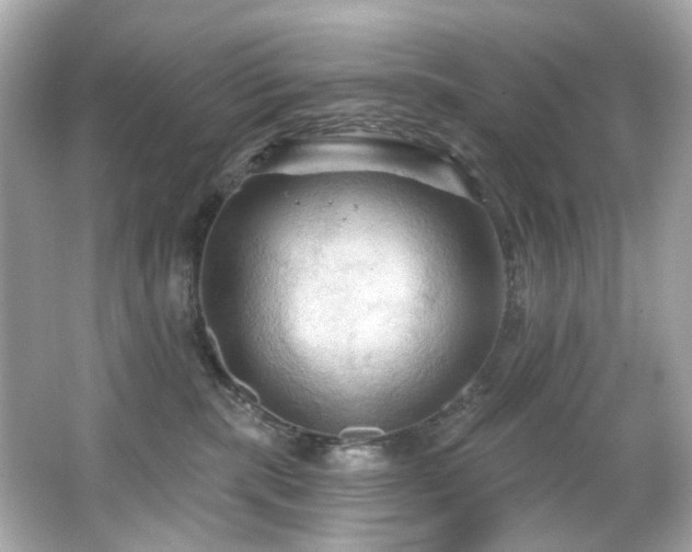 X0000066090283200603101214