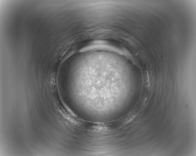 X0000066090284200603101214