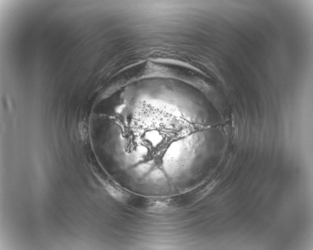 X0000066090285200603101214