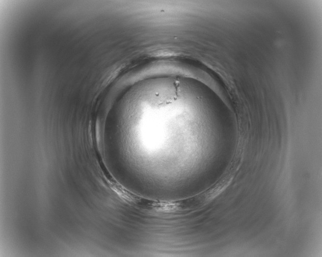 X0000066090288200603101214