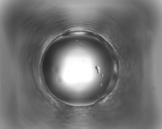 X0000066090289200603101213