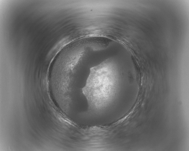 X0000066090290200603101213