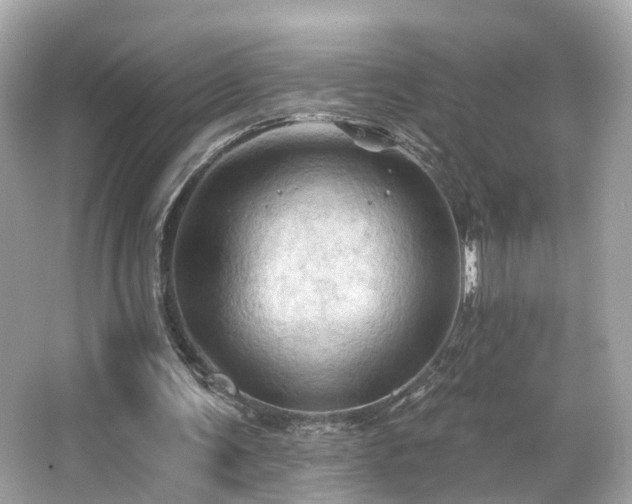 X0000066090291200603101213