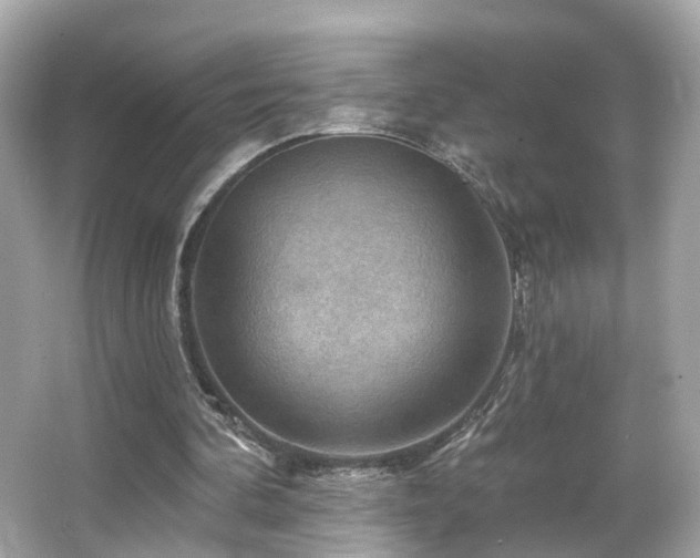 X0000066090292200603101213