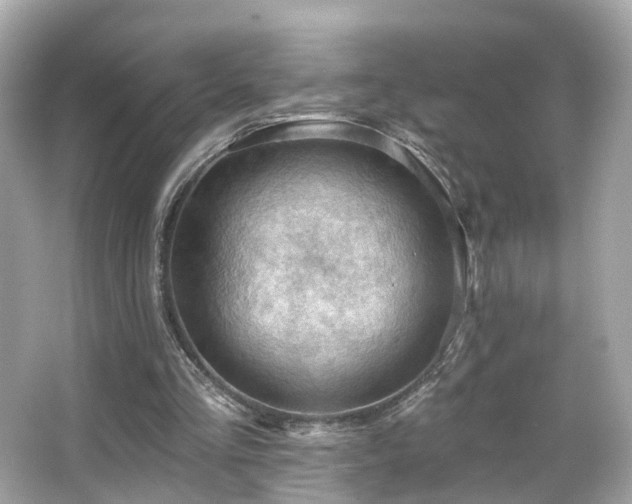 X0000066090293200603101213