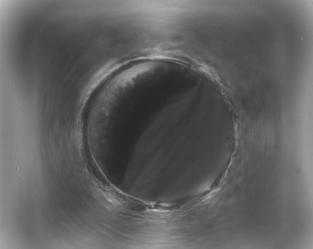 X0000066090295200603101213