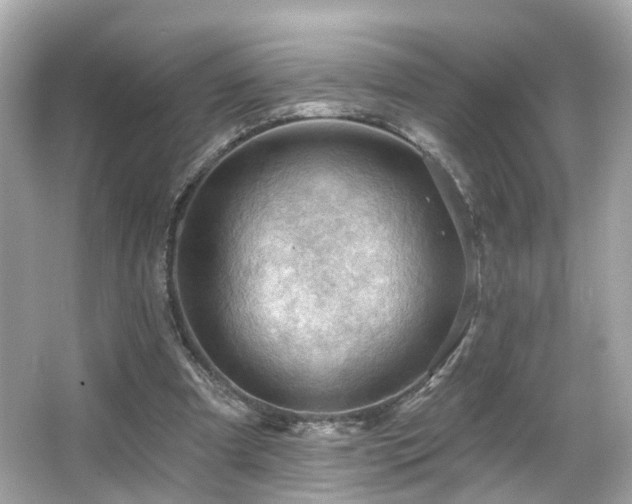 X0000066090297200603101213