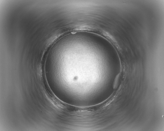 X0000066090298200603101213