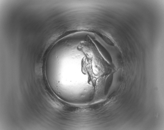 X0000066090299200603101213