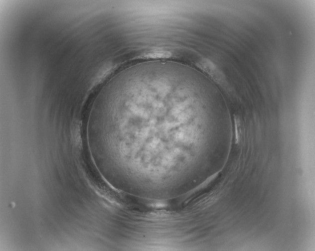 X0000066090300200603101213