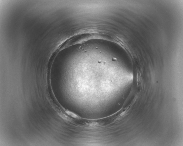 X0000066090301200603101213