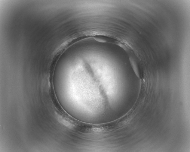 X0000066090302200603101213