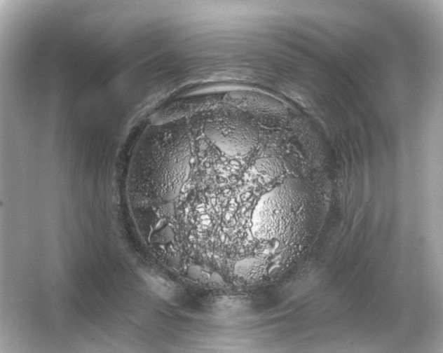 X0000066090303200603101213