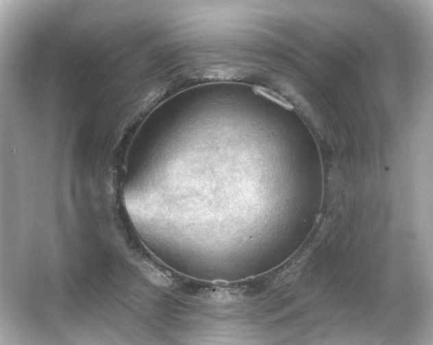 X0000066090305200603101213