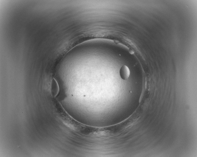 X0000066090307200603101213