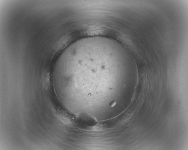 X0000066090308200603101213