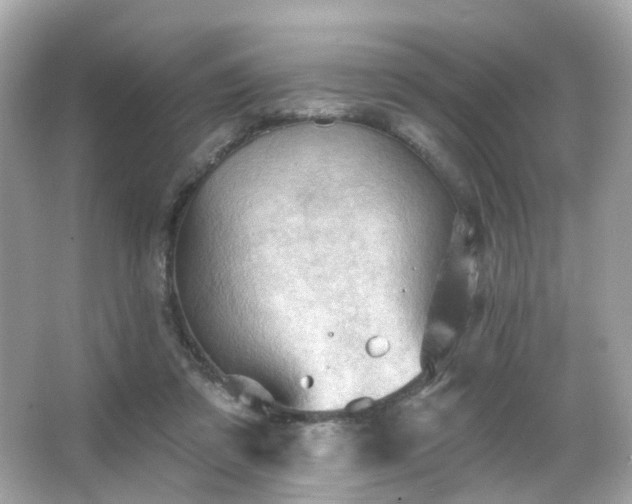 X0000066090309200603101213