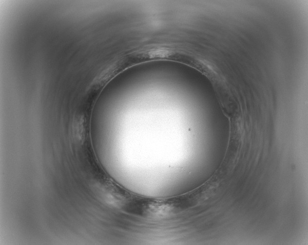 X0000066090311200603101213