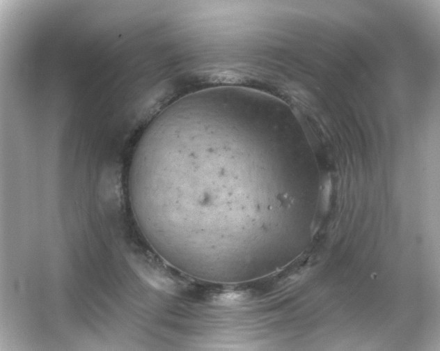 X0000066090312200603101213