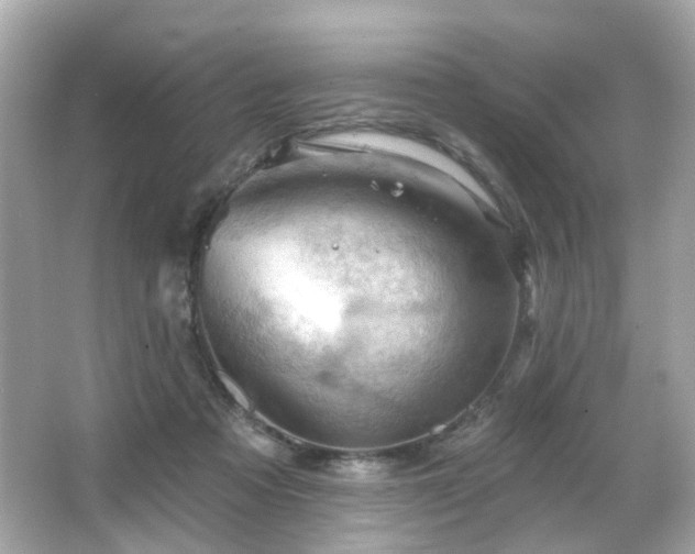 X0000066090313200603101213