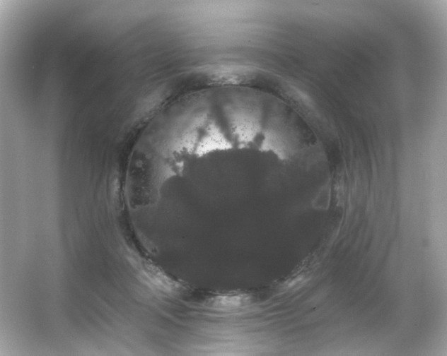 X0000066090314200603101213