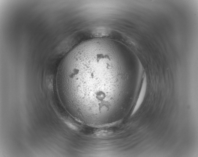 X0000066090315200603101213