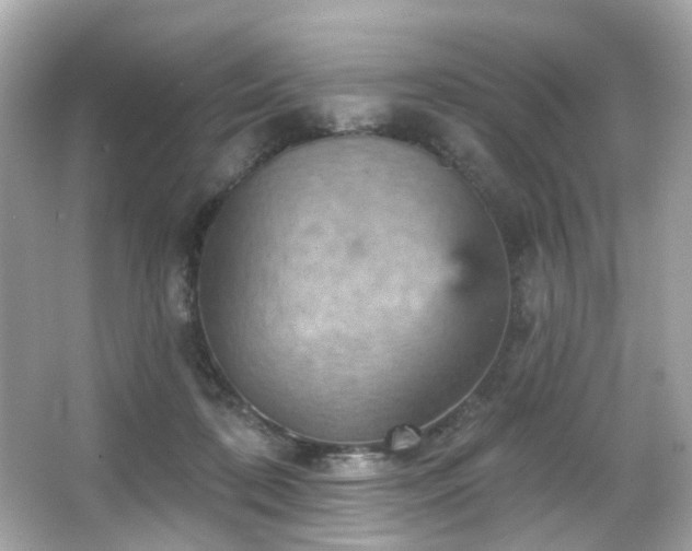 X0000066090316200603101213