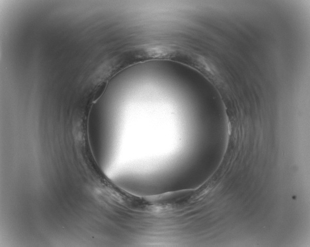 X0000066090317200603101213