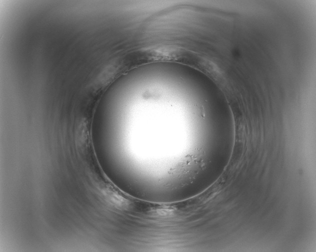 X0000066090318200603101213