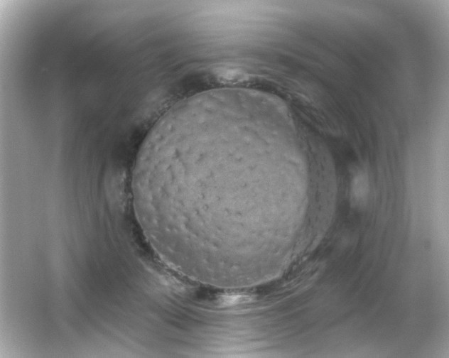 X0000066090319200603101213