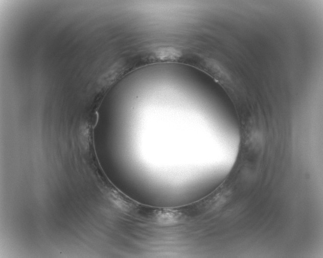 X0000066090321200603101213